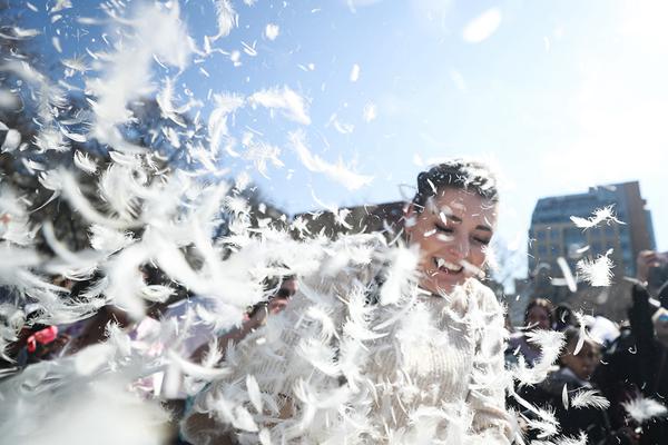 愛犬by天一txt寶書網