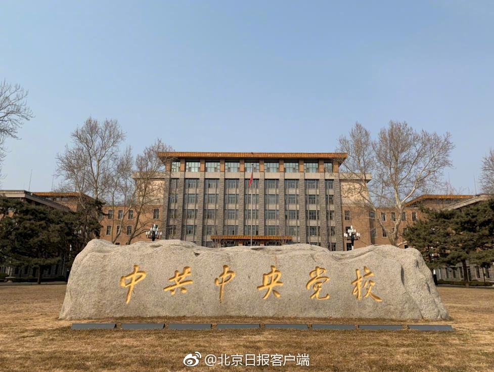 醉花陰作者酌青梔筆趣閣