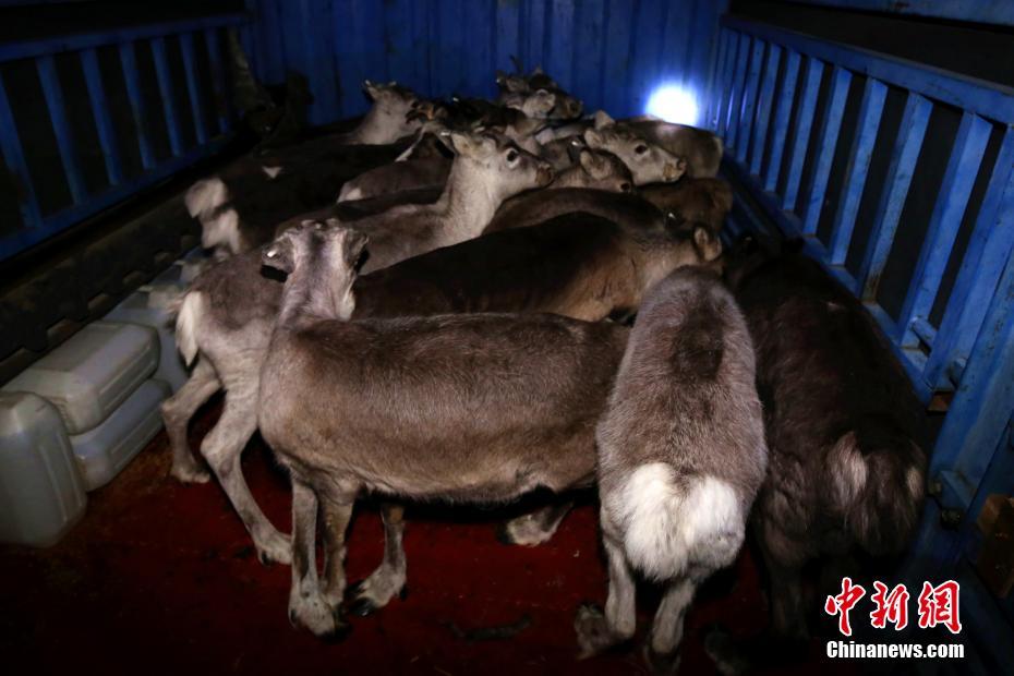 《曖昧》by溫茶完整閱讀