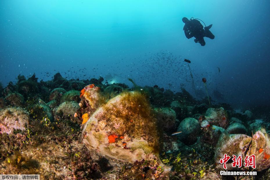 丁香花菩提樹txt百度網盤資源