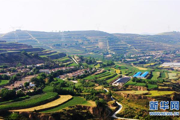 《會長是女仆大人》大結局