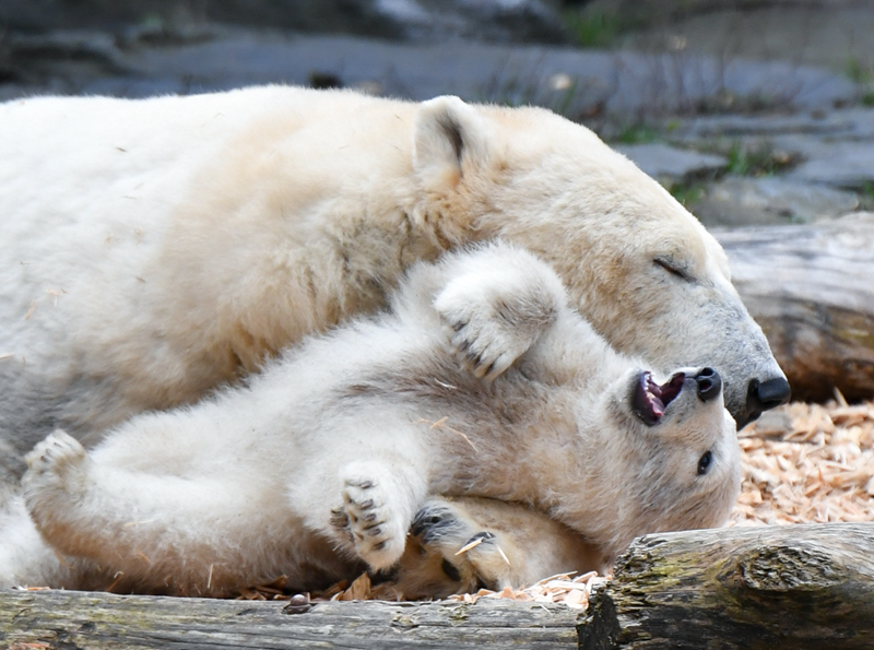 別來無恙by任平生全文閱讀
