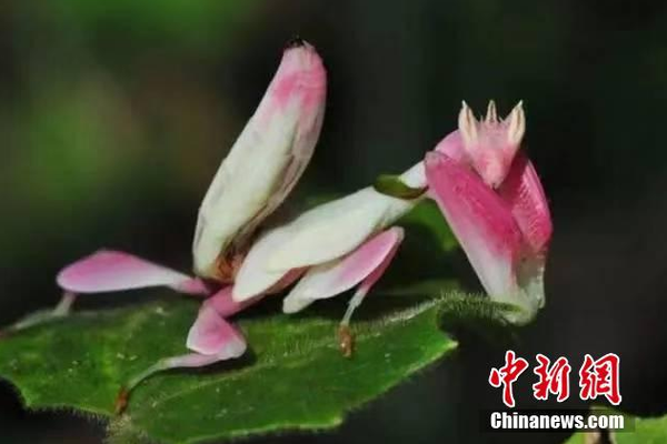 醫生我還有救嗎by洛洛全文56