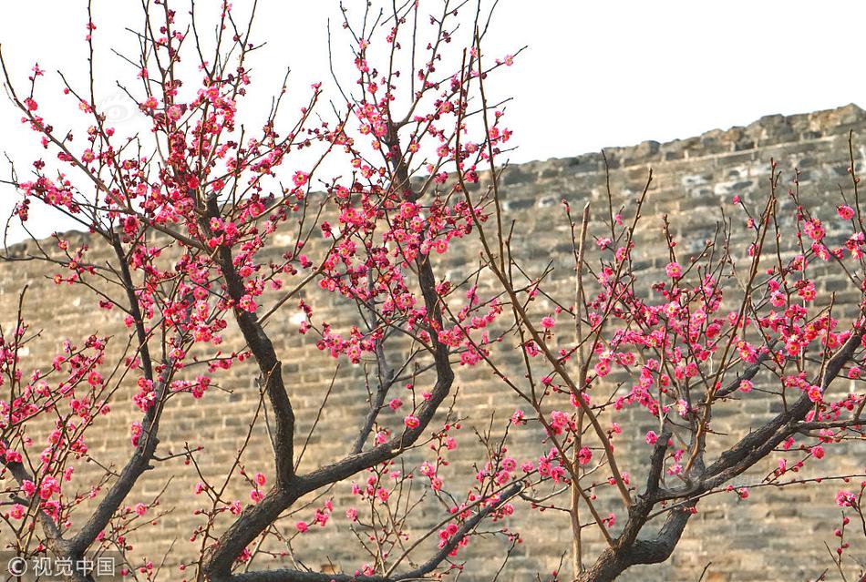 影帝與迷妹(簡)作者:豆腐榨菜