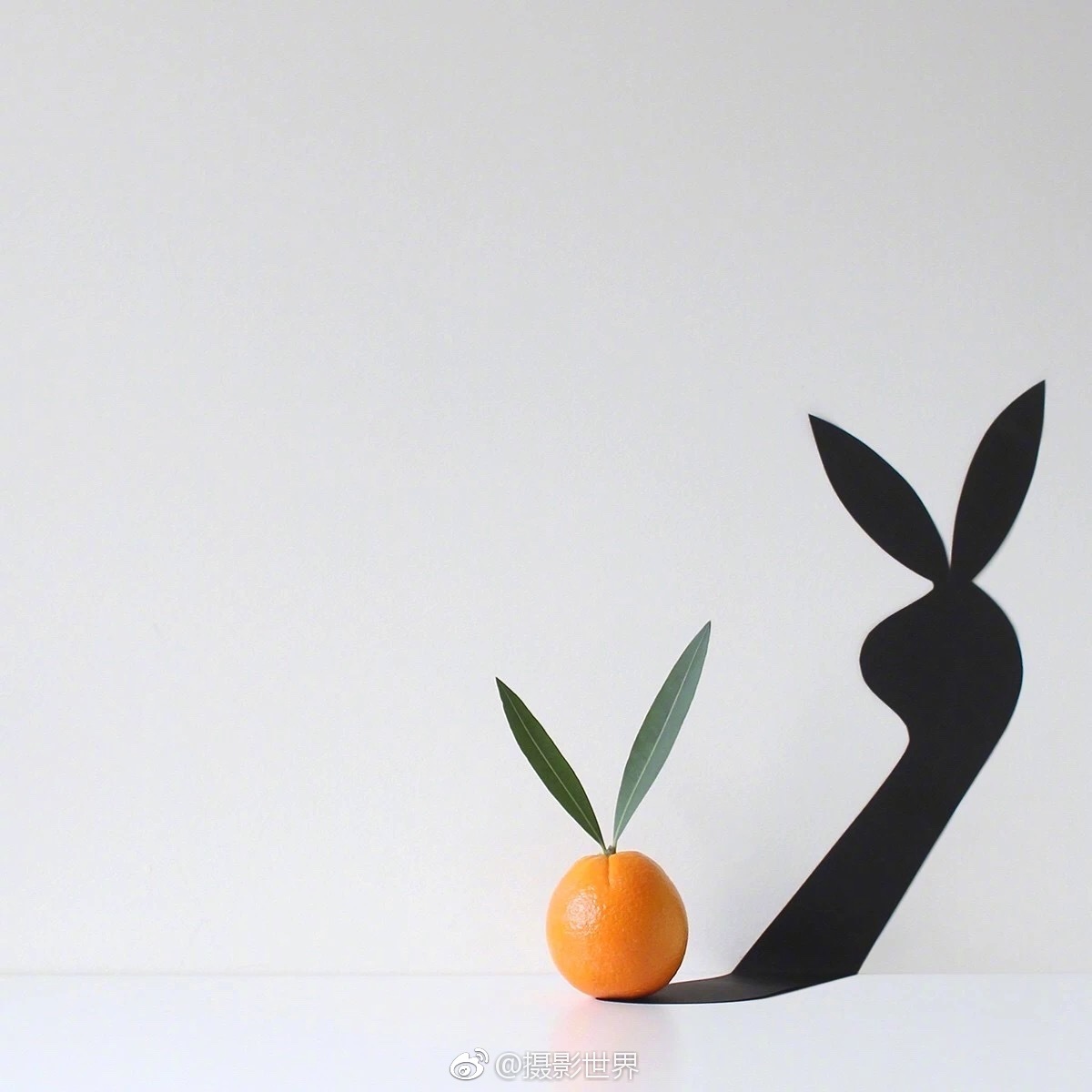 作死by水方魷劇情