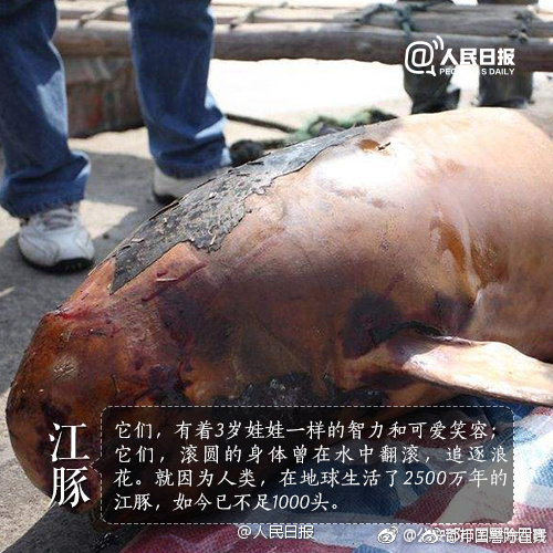 繁星v1.3下載超自然