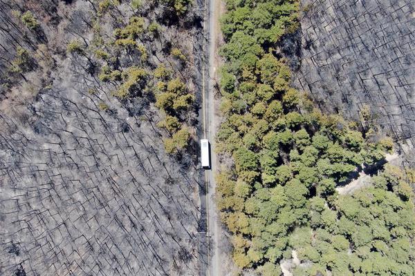 《水深火熱》小花喵 江淼 全文閱讀txt