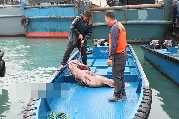 成癮by周伏妖txt