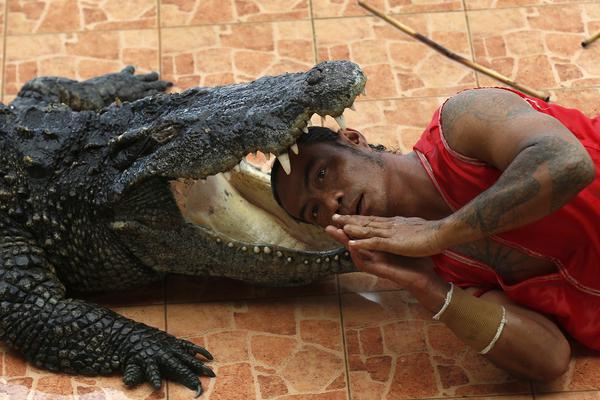 朱門繡戶無刪減筆趣閣