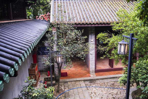 半熟by松鼠小說全文免費閱讀