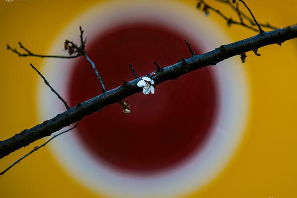 周平免費最新章節更新