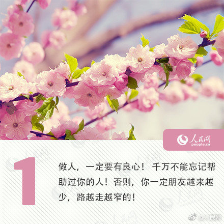 [快穿]驕矜宿主總是被覬覦