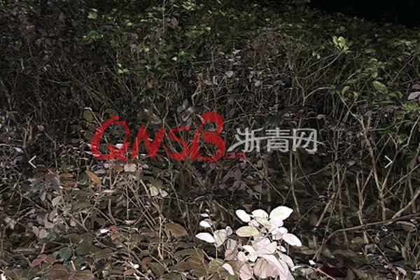 一物降一物by浩瀚晉江