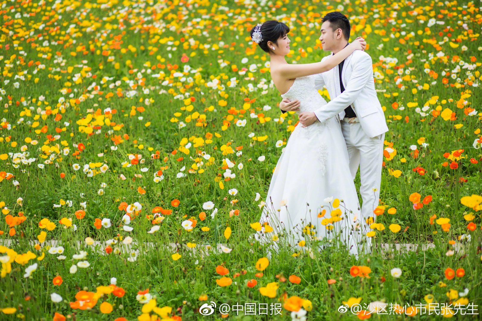 主人txt筆趣閣小說