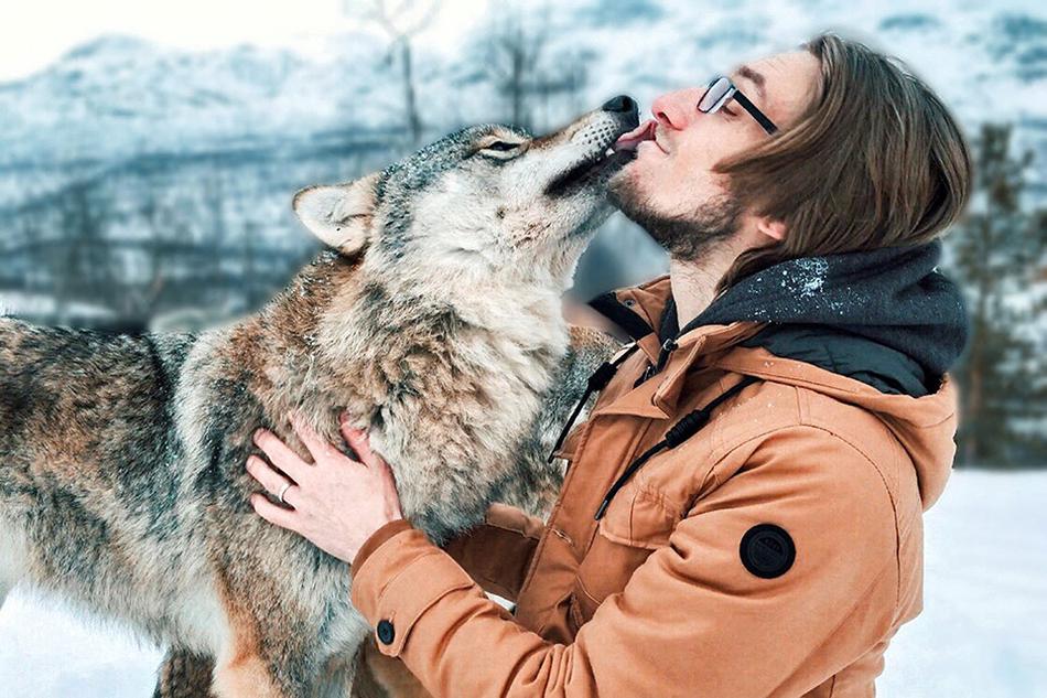 《將進酒》by唐酒卿 百度網盤