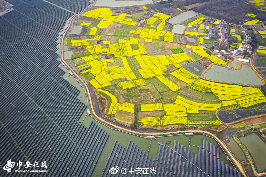 Pro18臉紅心跳筆趣閣全文