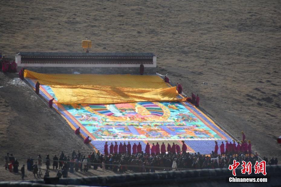 《變成小O崽崽了怎么破》by清尊