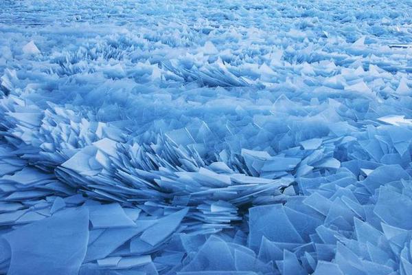 大理寺·卿po筆趣閣完整