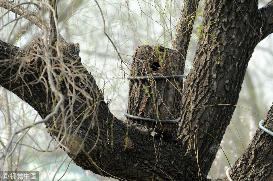 被當(dāng)成臺(tái)球洞的女主by筆趣閣