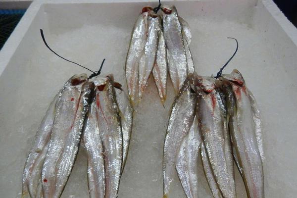 《怨氣撞鈴》電視劇演員