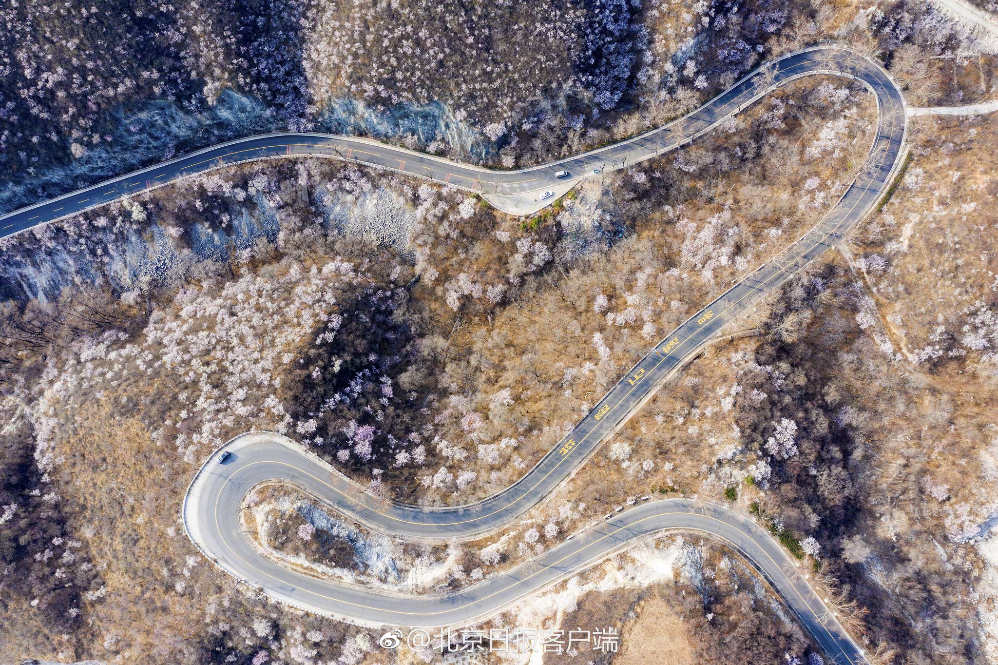 一朵小黃花po筆趣閣