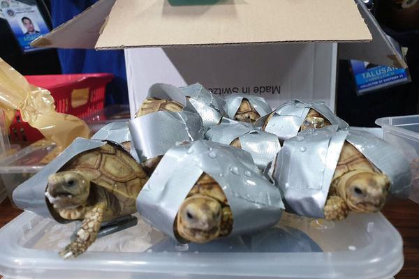 章魚鉆λ子官筆趣閣最新章節更新內容