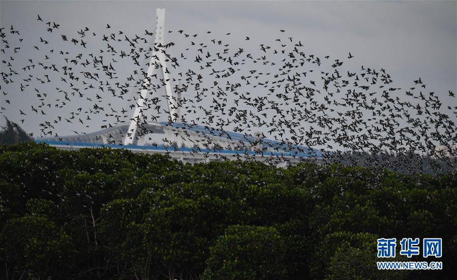 重生之小房東(上 下部)