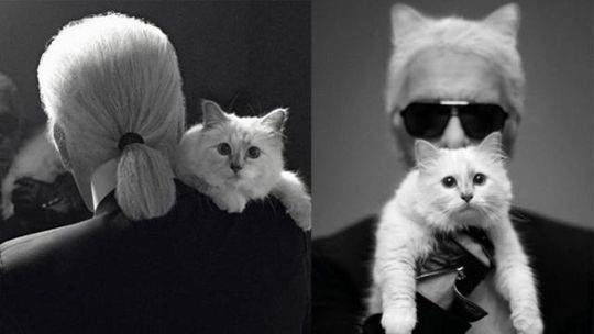 《匹諾曹》by孟還小說