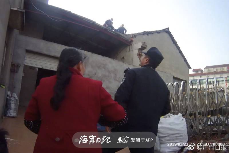 大叔愛上十九歲丫頭小說