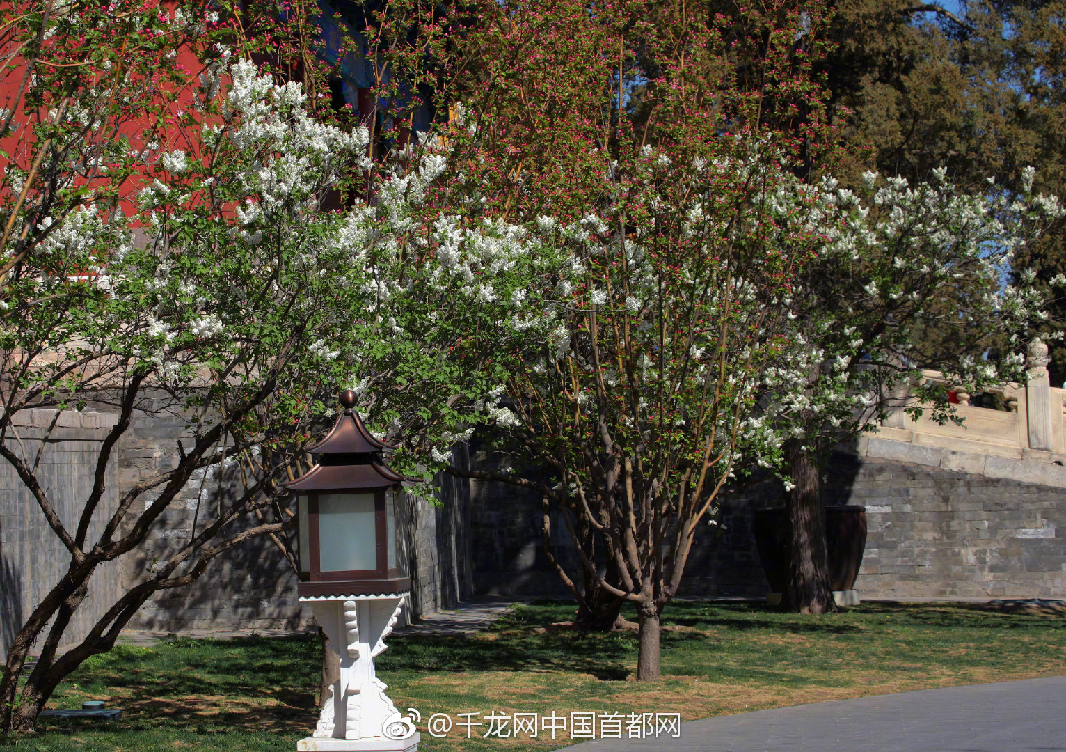 渣攻重生手冊by余芽呀筆趣閣小說