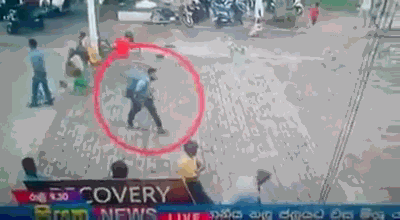 80小說下載網(wǎng)站TXT