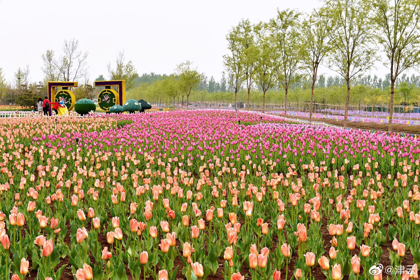 爭香txt麟潛 百度云