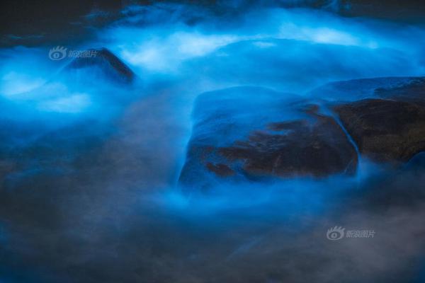 秉性下等by回南雀結局是he嗎