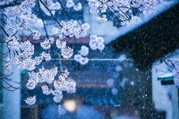 用膠帶晚上罰隱私最狠的方法