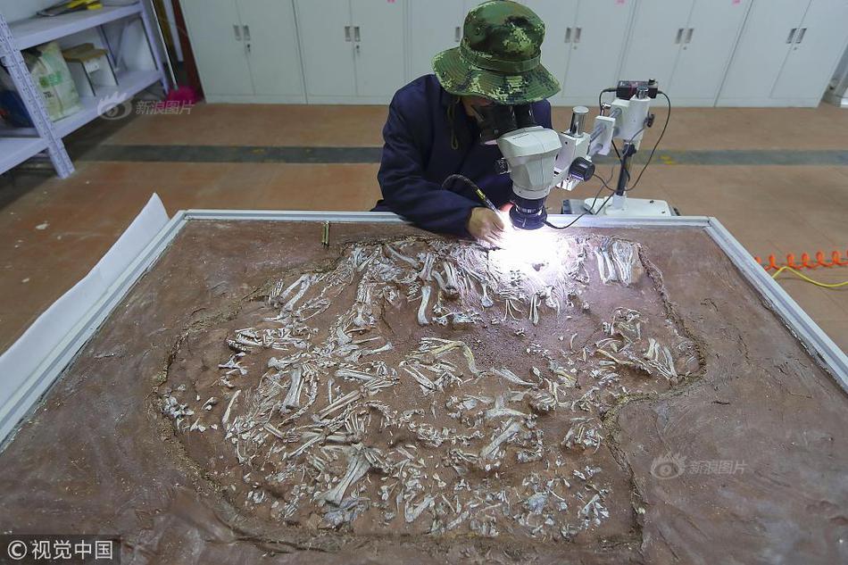 非凡人生茶葉面包TXT下載