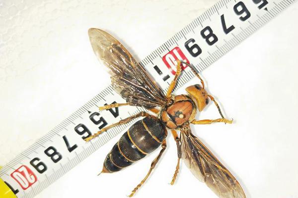 真人秀游戲筆趣閣免費閱讀