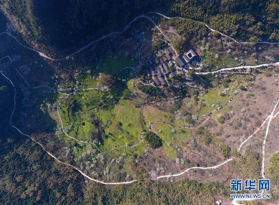 evplayer2買課靠譜嗎