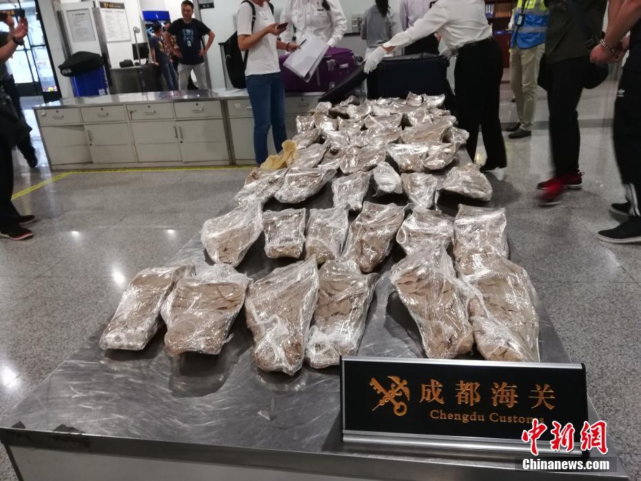 直不起腰POP阿肥