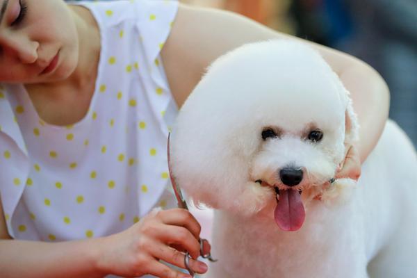 衣冠禽獸by司馬拆遷劇透