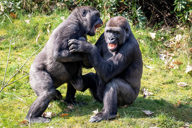 趙洞庭穎兒小說筆趣閣書香閣
