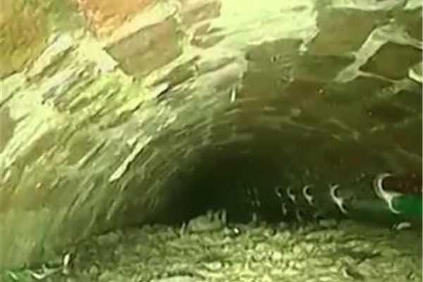 多情劍客無情劍TXT完本下載