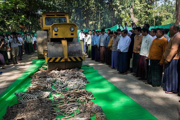 《沉溺》by白芥子完整在線閱讀