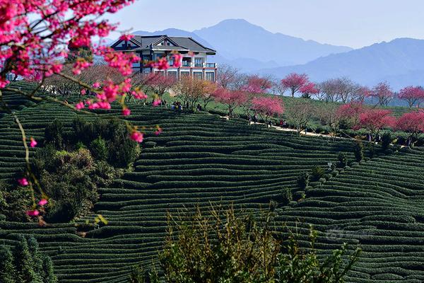 異界陰陽混沌決txt八零