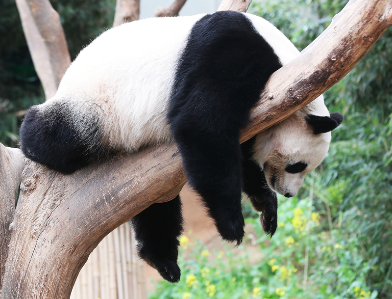 娛樂圈那點破事兒(gl)