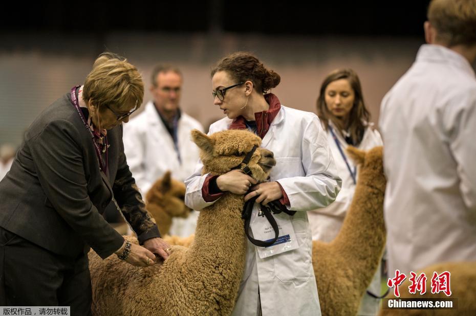 啄木鳥軍艦上的女兵英文名字叫啥