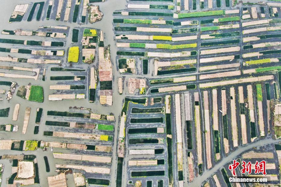 《暗火》by白芥子 推文