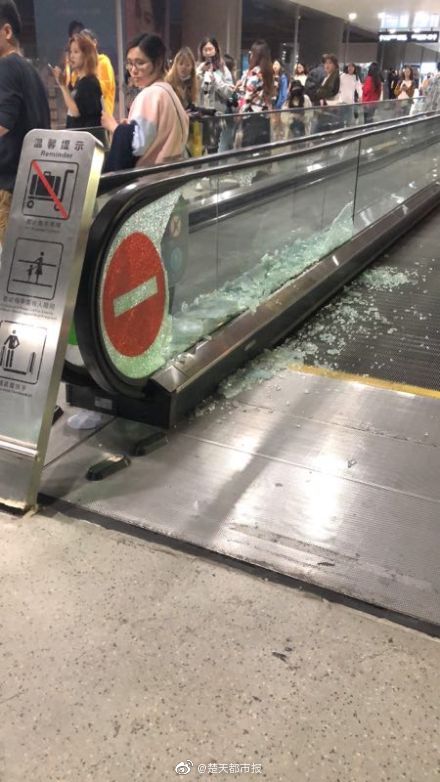 一行白鷺by清明谷雨講的什么