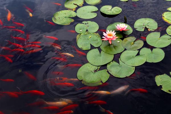 筆趣閣小說下載app官網蘋果