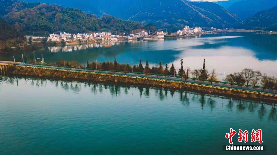 《偽高冷的真暗戀日常》