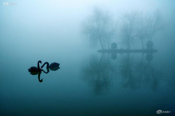 阿賓正傳TXT下載筆趣閣